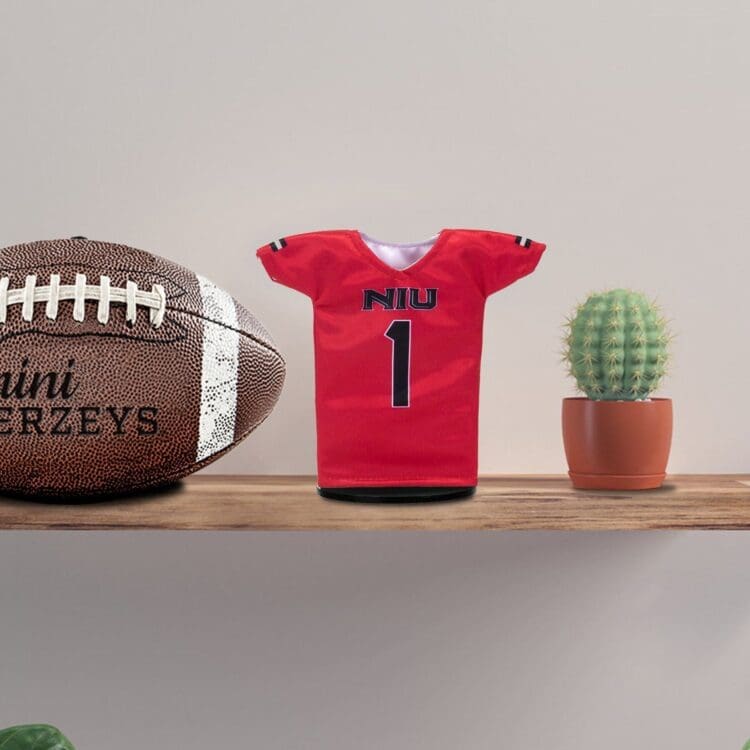 niu huskies miniature football jersey