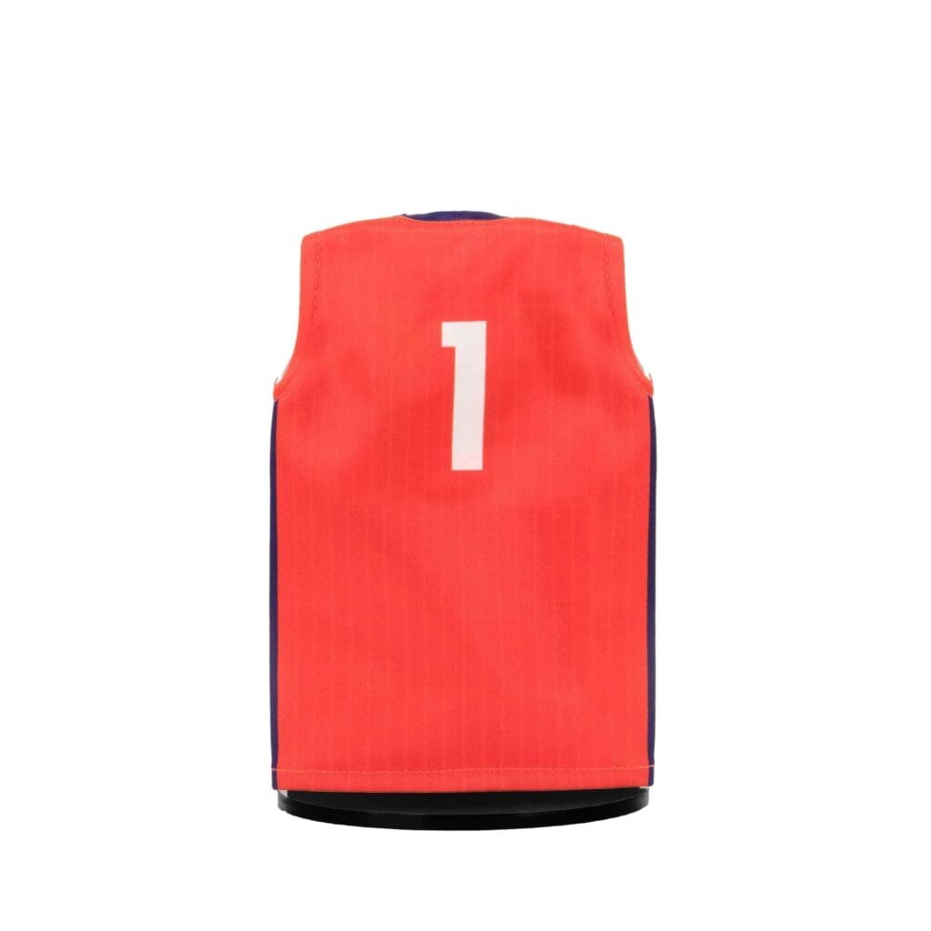 Fighting Illini Mini Basketball Jersey Back