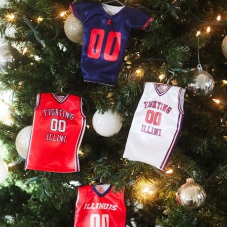 Illinois Miniature Sports Jersey Holiday Ornament