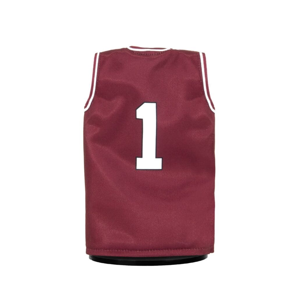 SIU Miniature Basketball Jersey Back