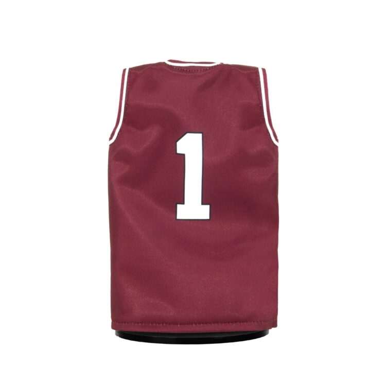 SIU Miniature Basketball Jersey Back
