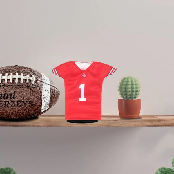 Ohio State Mini Football Jerseys