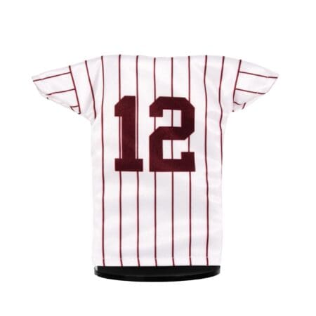 TAMU Baseball Back