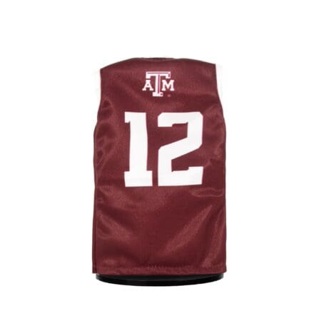 TAMU Basketball Back