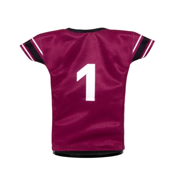 SIU Salukis Football #1 Miniature Sports Jersey Back