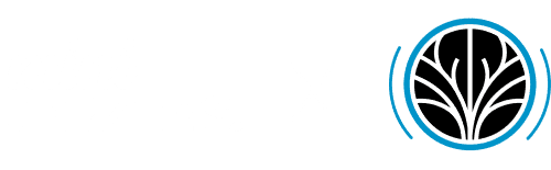 Jalen Brunson SRF_Header Icons